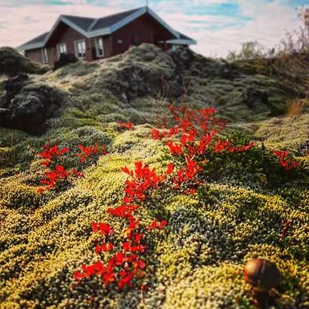 הוילה בורגרנס House In Lava מראה חיצוני תמונה